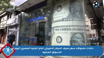 «ثبات ملحوظ» سعر صرف الدولار الأميركي أمام الجنيه المصري اليوم في الأسواق المحلية
